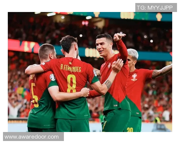 2017年葡萄牙国家足球队完整阵容及球员介绍分析