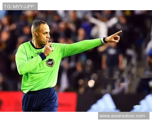 2016年全球足球裁判实力排行榜揭晓各国裁判表现一览