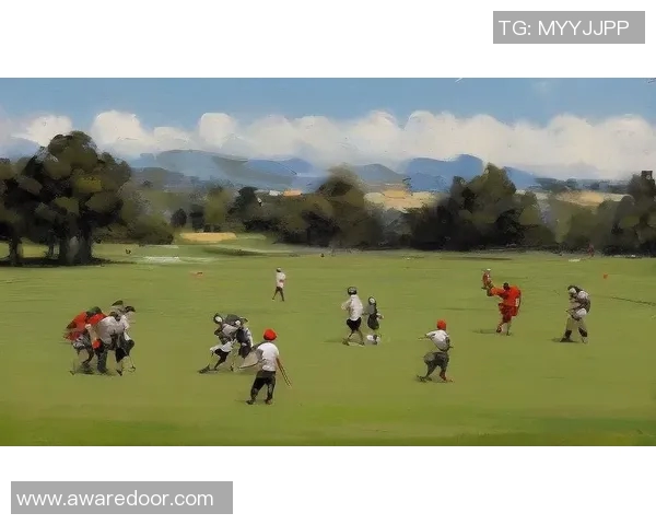 一鸟足球:探索足球世界的无限可能与激情之旅 一鸟足球:探索足球世界的无限可能与激情之旅