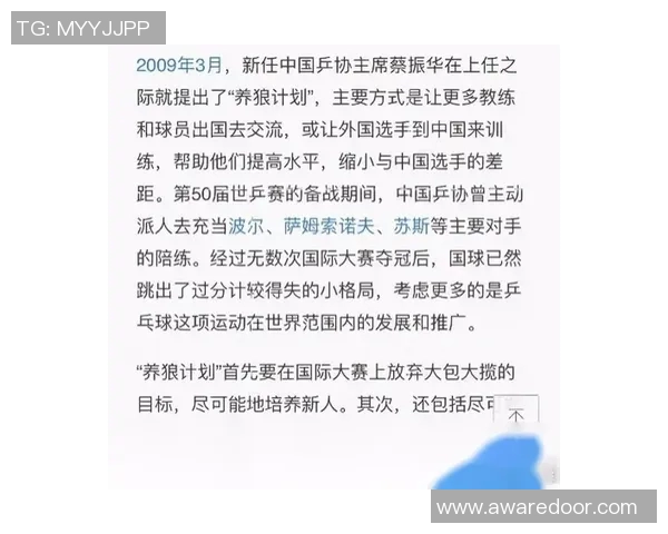上海乒乓球队在联赛中的个人能力分析与表现评估