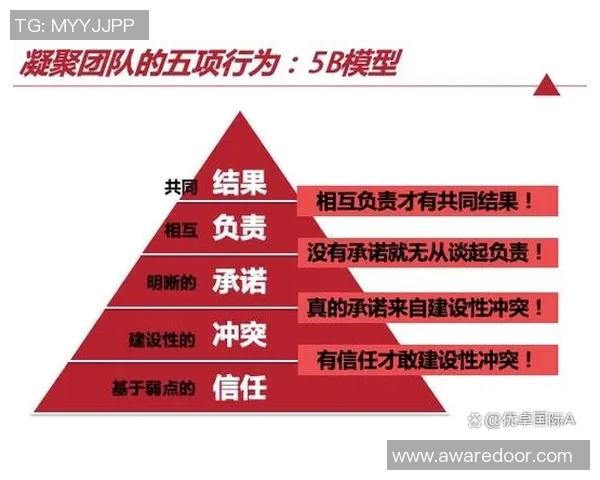 上海排球队的团队协作探秘：如何在赛场上实现默契与胜利