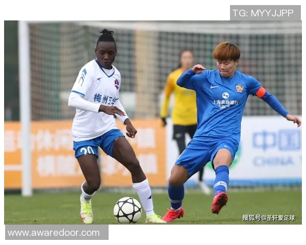 上海排球队边路渗透革新探索与实践的深度剖析与展望