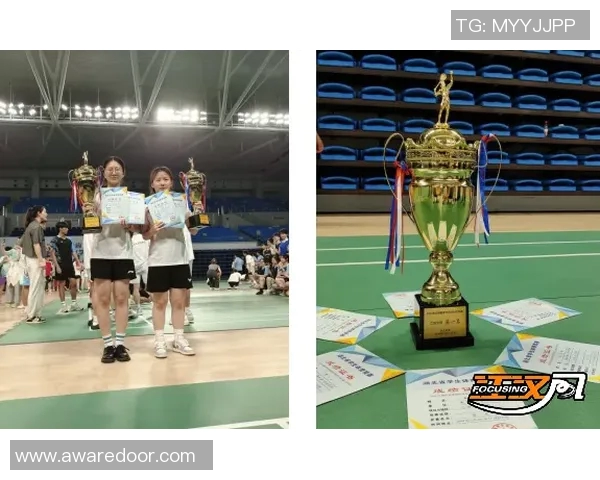 上海羽毛球队包夹战术的创新与发展探索分析