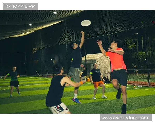 上海飞盘队战术解析与创新思路的深度探讨与展望