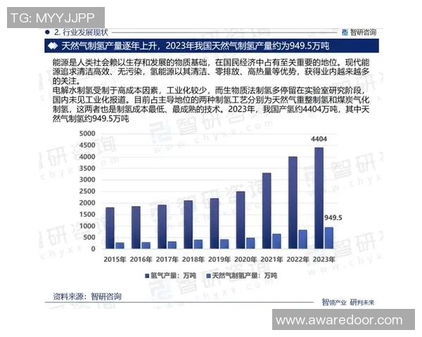 专业分析：液化天然气市场的反击策略与未来发展趋势探讨