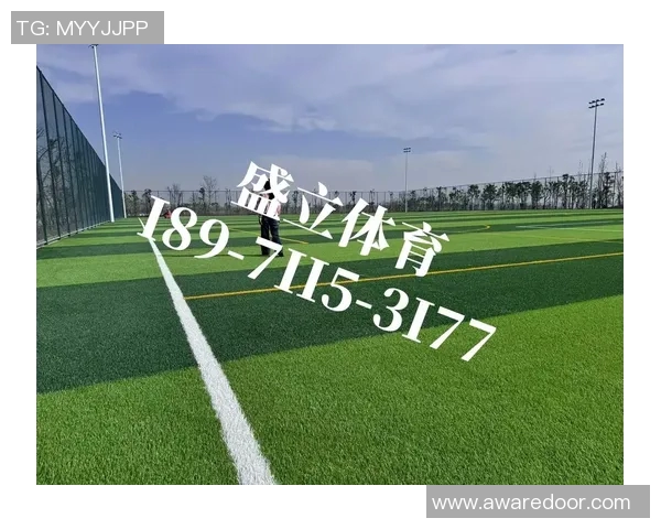 专业足球场草坪的选择与维护对比赛质量的重要性分析