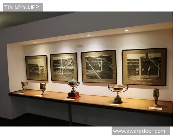 中国美式足球的崛起与发展探索：从校园到职业联赛的全景分析