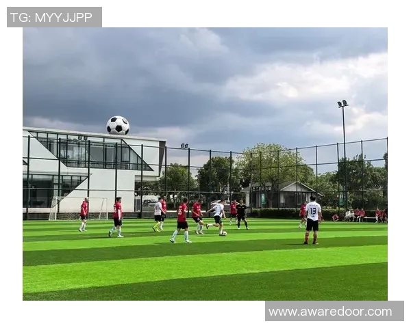 世界各地踢足球的运动员及其代表球队和成就介绍 世界各地踢足球的运动员及其代表球队和成就介绍