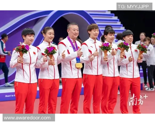 乒乓球的魅力与团结力量深圳乒乓球队的协作之道探索