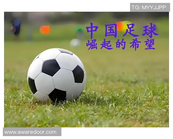 举国体制足球的崛起与挑战:探索中国足球未来发展的新路径与机遇 举国体制足球的崛起与挑战:探索中国足球未来发展的新路径与机遇