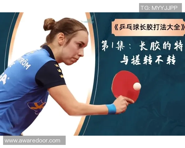 乒乓球新手必看：从基础到战术的全面入门指南与技巧分享